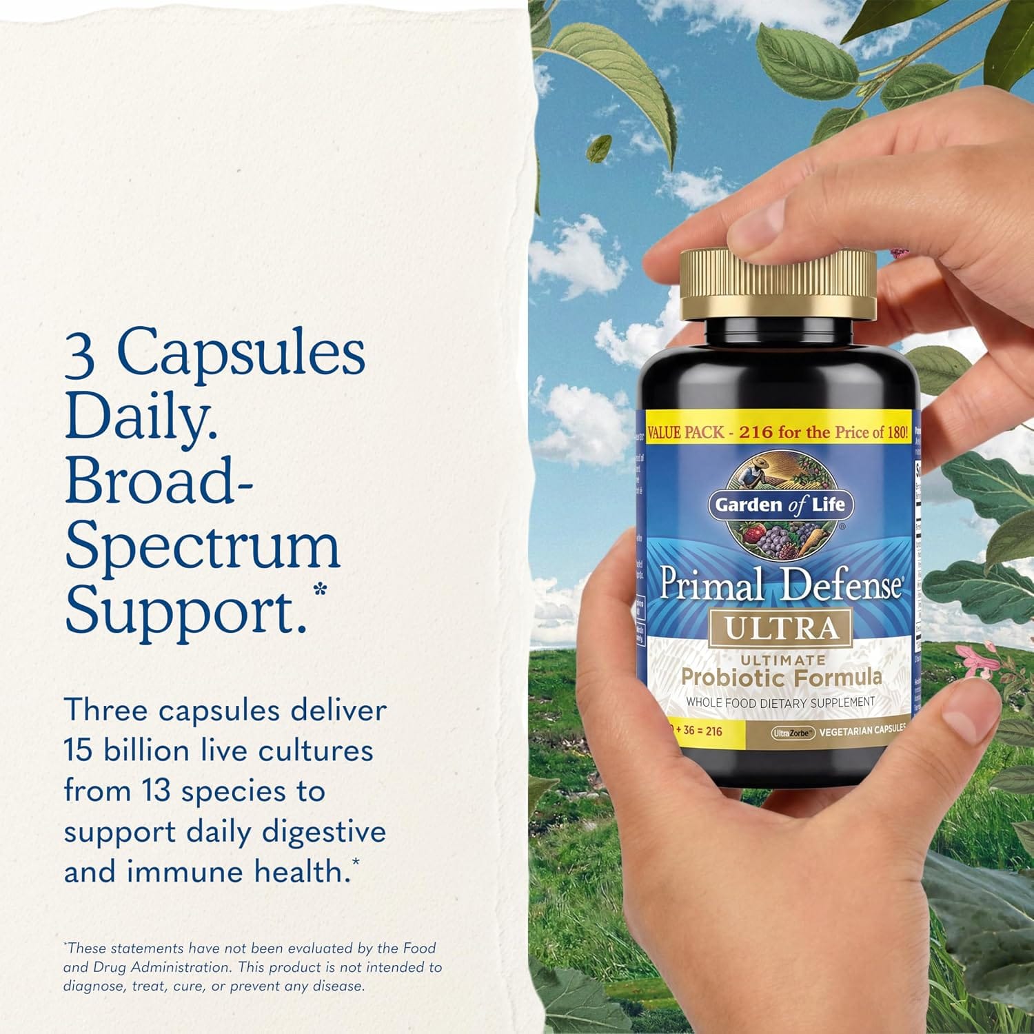 3 capsules daily broad-spectrum support