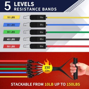 Resistance Bands Set for Full Body Workout & Strength Training - Image 2