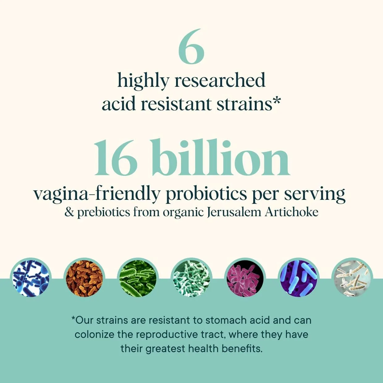 16B vagina probiotic