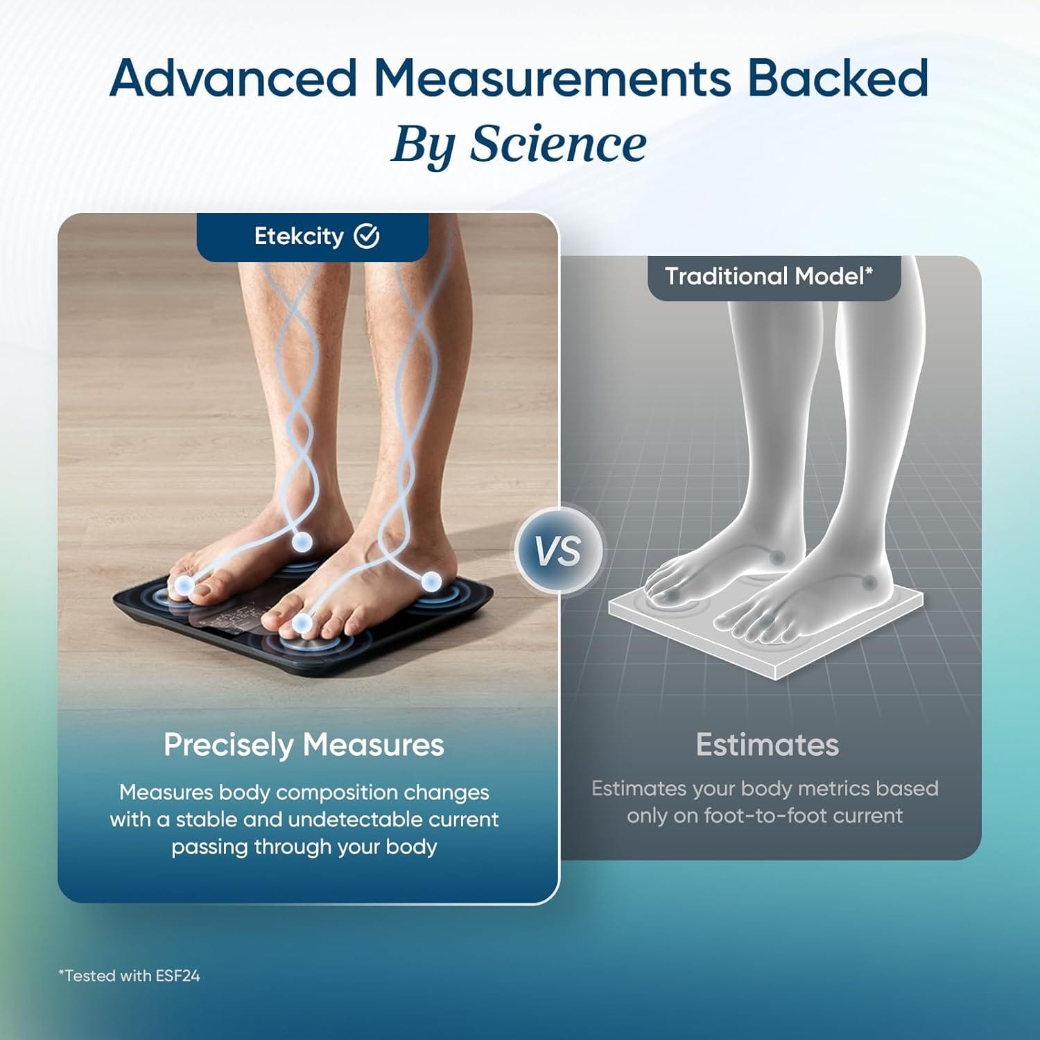 Etekcity Smart Scale for Body Composition Data - Image 2