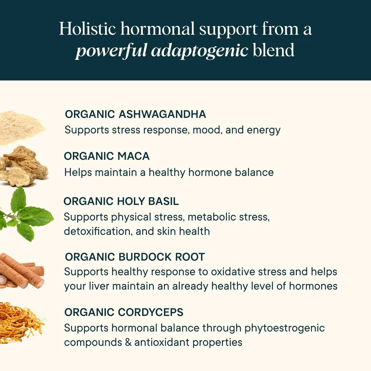 holistic hormanal support