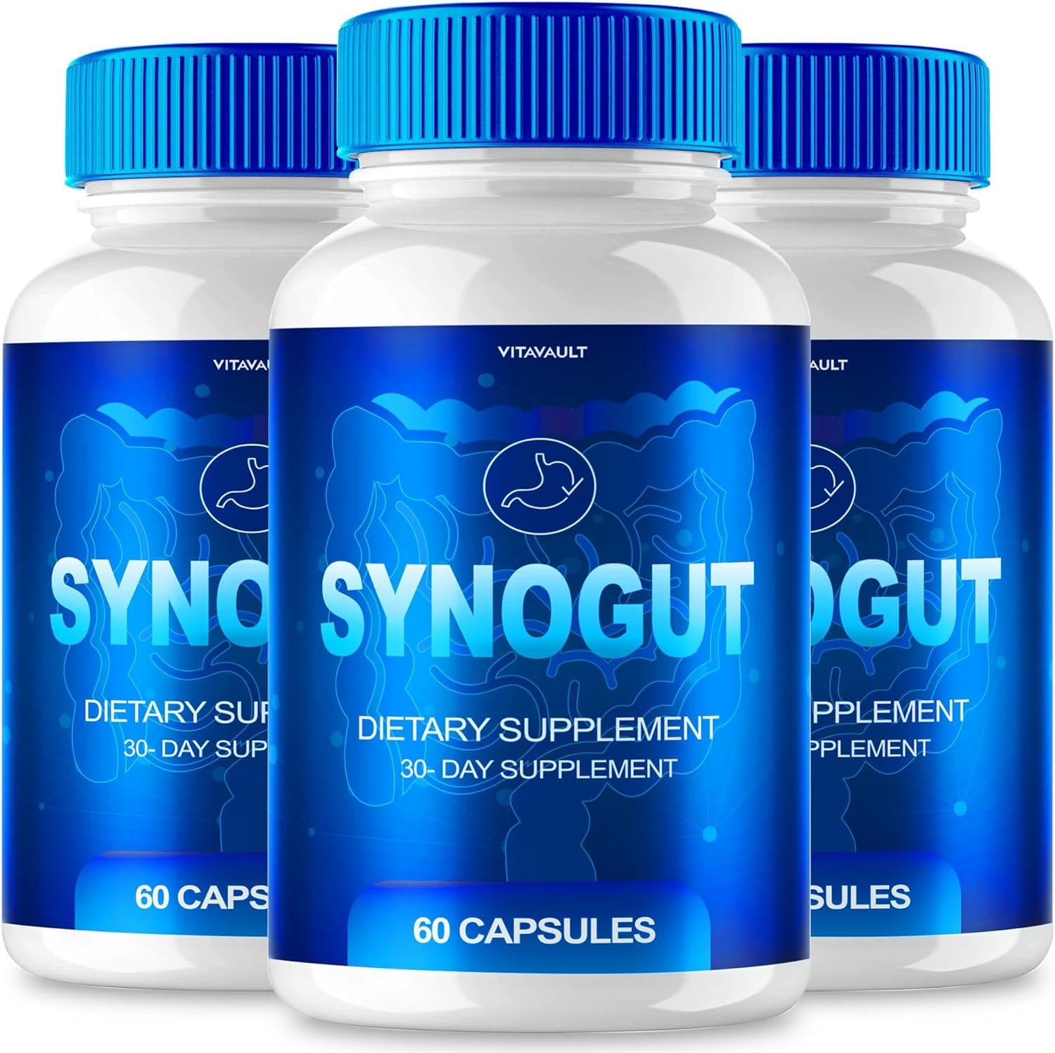 Synogut Digestive Health Support