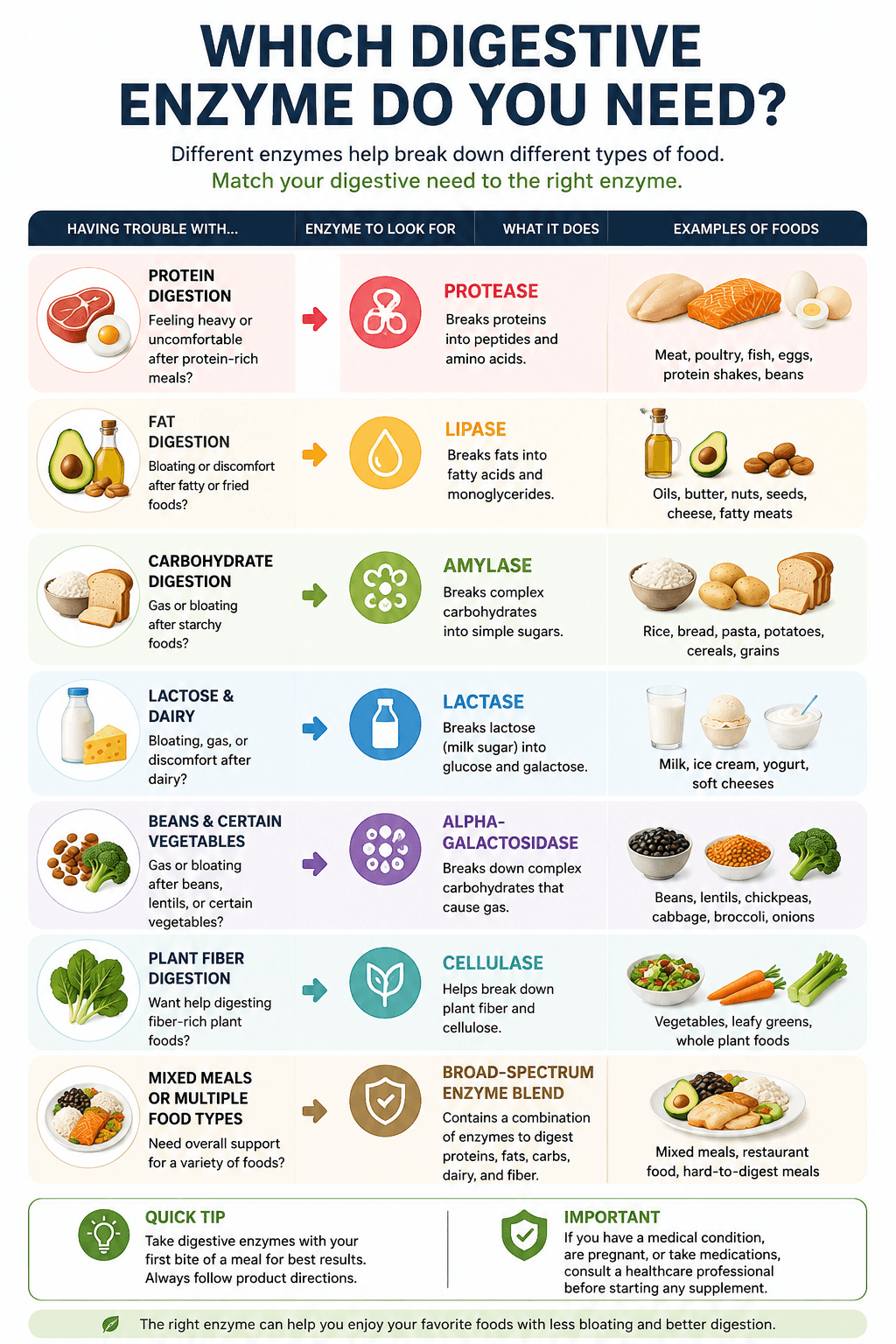 Chart matching digestive enzymes to protein, fat, starch, lactose, and complex carbohydrates