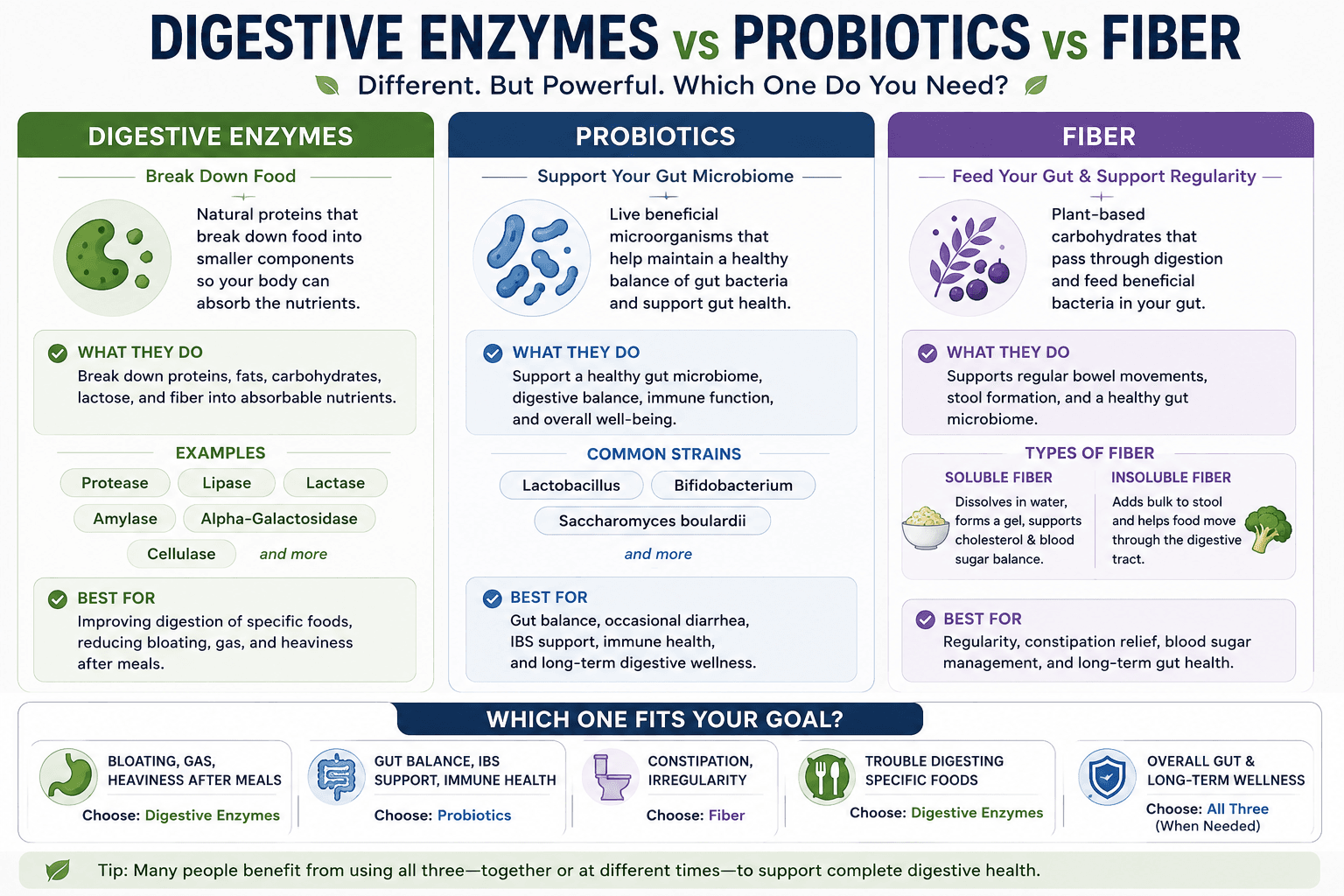 Comparison of digestive enzymes, probiotics, and fiber for different digestive needs