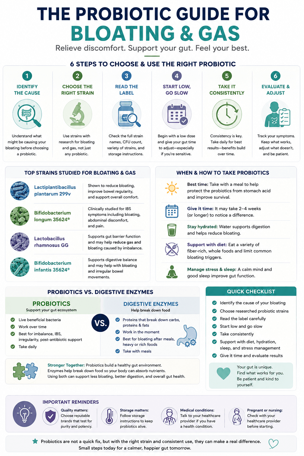 Probiotic guide for bloating and gas showing how to choose strains, read labels, compare probiotics with digestive enzymes, and track results