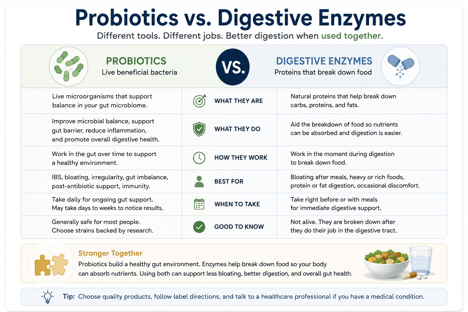 Probiotics versus digestive enzymes for bloating, showing how probiotics support the gut microbiome while enzymes help break down food