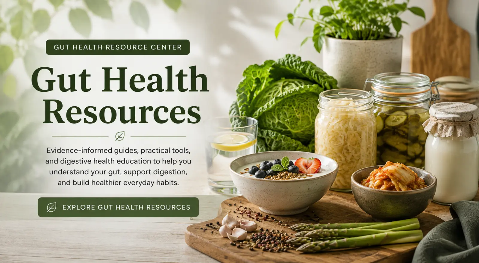 Gut Health Resources center featuring fermented foods, fiber-rich vegetables, berries, yogurt, hydration, and other gut-supportive foods