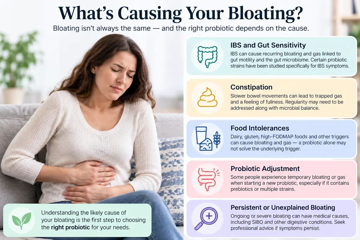 Common causes of bloating including IBS, constipation, food triggers, probiotic adjustment, and persistent digestive symptoms