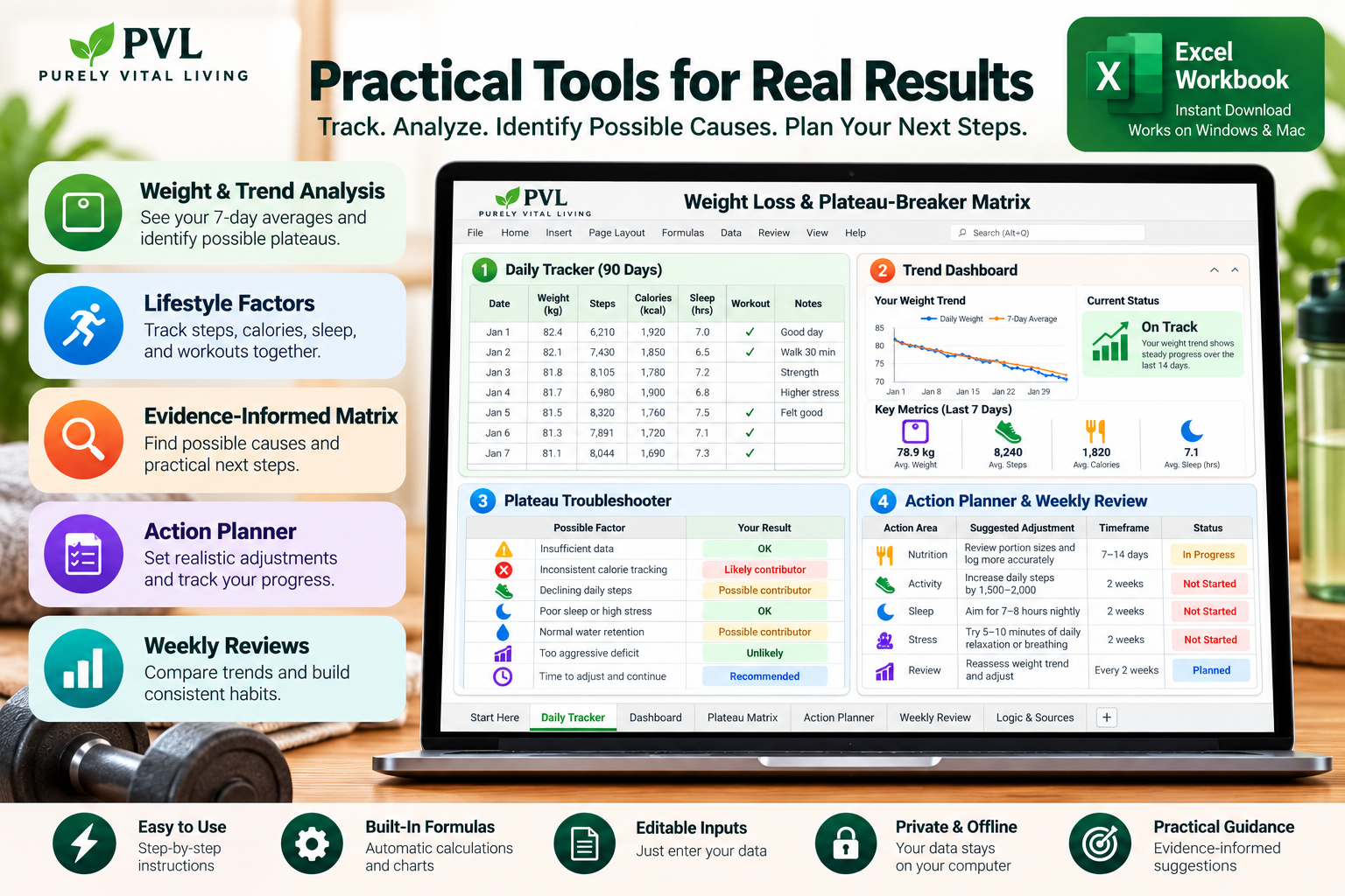 PVL Excel Workbook Wellness Dashboard