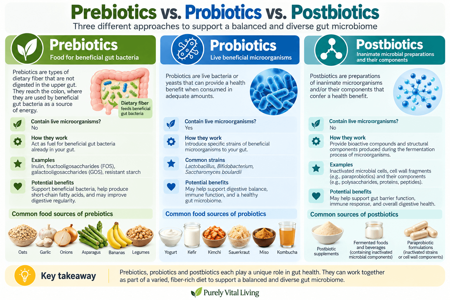Prebiotics vs probiotics vs postbiotics infographic comparing definitions, examples and food sources