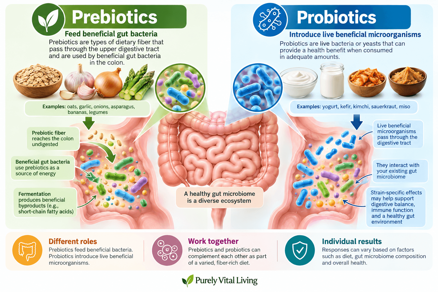 How prebiotics nourish gut microorganisms and how probiotics interact with the gut microbiome