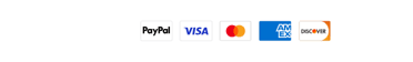 PayPal, Visa, Mastercard, American Express and Discover